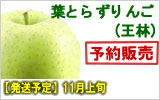 葉とらず王林