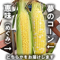 品種