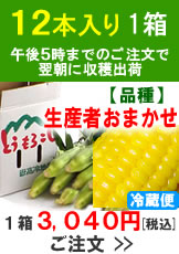 滝吉さんの朝採り嶽きみ(とうもろこし)【品種おまかせ】1箱12本入り