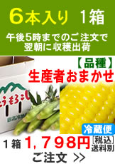 滝吉さんの朝採り嶽きみ(とうもろこし)【品種おまかせ】1箱6本入り