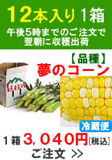 滝吉さんの朝採り嶽きみ(とうもろこし)【品種：夢のコーン】1箱12本入り