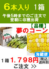 滝吉さんの朝採り嶽きみ(とうもろこし)【品種：夢のコーン】1箱6本入り