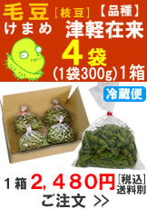 奈良岡さんの「毛豆(けまめ)　品種：津軽在来」300g入４袋１箱