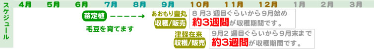 年間スケジュール 