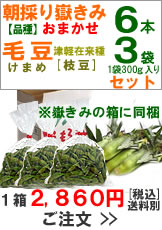 朝採り嶽きみ(とうもろこし)６本と毛豆(けまめ)３袋セット１箱