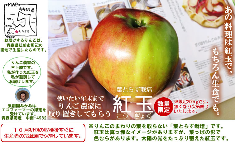 りんご通販～青森県弘前産「葉とらずりんご(紅玉)」