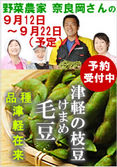 奈良岡さんの毛豆（けまめ）