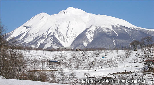 今日の津軽