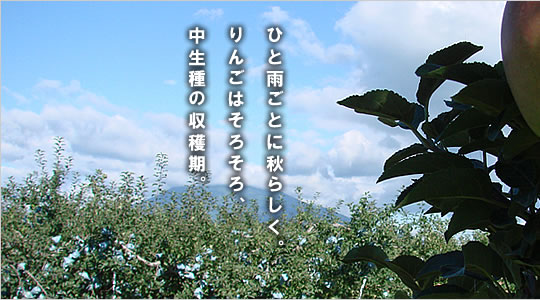 今日の津軽