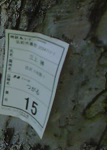 津軽からお届けします。