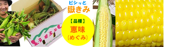 【品種】恵味（めぐみ）