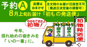 予約A　出荷初日発送便　予約