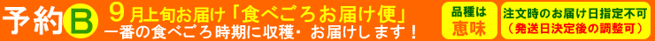 【予約B】　 ～　食べごろお届け便　～　９月上旬お届け　一番の食べごろ時期に収穫・お届けします！