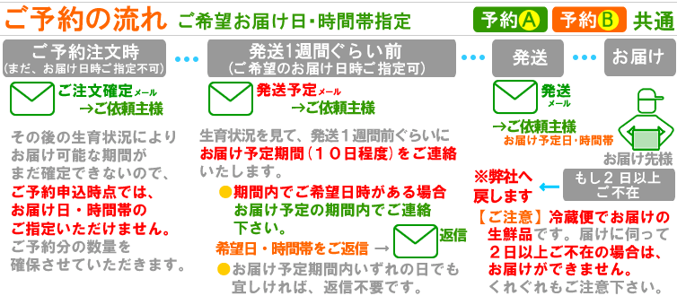 嶽きみ予約の流れ