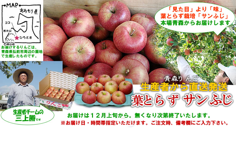 りんご通販【予約販売】～青森県弘前産「葉とらずりんご（サンふじ）」
