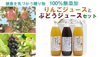 【無添加100%】蔵出し熟成スチューベンジュース　1ケース6本入り 津軽com(つがるこむ)ストア / ぶどうジュース通販産地直送～100