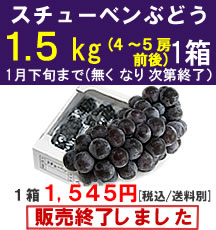 【販売終了】スチューベンぶどう１箱１．５Kg