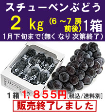 【販売終了】スチューベンぶどう１箱２Kg