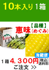 嶽きみ(とうもろこし)【品種：恵味（めぐみ）】1箱10本入り