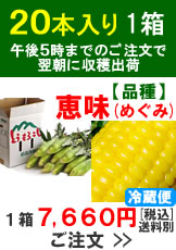 嶽きみ(とうもろこし)【品種：恵味（めぐみ）】1箱20本入り