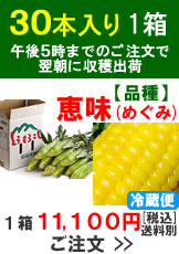 嶽きみ(とうもろこし)【品種：恵味（めぐみ）】1箱30本入り