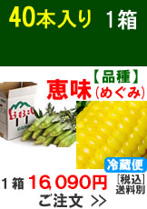 嶽きみ(とうもろこし)【品種：恵味（めぐみ）】1箱40本入り