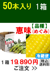 嶽きみ(とうもろこし)【品種：恵味（めぐみ）】1箱50本入り