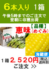 嶽きみ(とうもろこし)【品種：恵味（めぐみ）】1箱6本入り