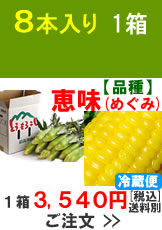 嶽きみ(とうもろこし)【品種：恵味（めぐみ）】1箱8本入り