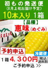 【予約A】嶽きみ(とうもろこし)初出荷便１０本１箱予約