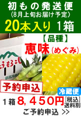 【予約A】嶽きみ(とうもろこし)初出荷便20本1箱予約