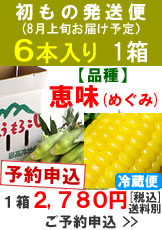 【予約A】嶽きみ(とうもろこし)初出荷便６本１箱予約
