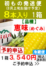 【予約A】嶽きみ(とうもろこし)初出荷便８本１箱予約