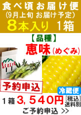【予約B】嶽きみ(とうもろこし)食べ頃便【品種：恵味（めぐみ）】1箱8本入り