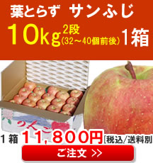 【販売】【品種】葉とらずサンふじ１０Kg