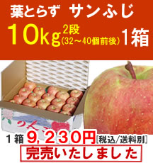 【販売終了】葉とらずサンふじ１０Kg