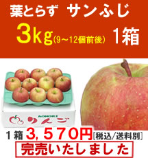 【販売終了】葉とらずサンふじ ３Kg