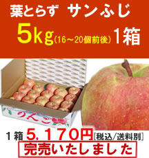 【販売終了】葉とらずサンふじ ５Kg