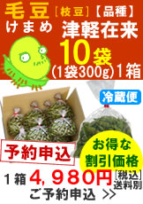 奈良岡さんの「毛豆(けまめ)　品種：津軽在来」300g入１０袋１箱【予約】