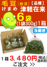 奈良岡さんの「毛豆(けまめ)　品種：津軽在来」300g入６袋１箱