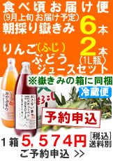 【予約B】嶽きみ(とうもろこし)６本とりんごジュース(ふじ)スチューベンぶどうジュース各１本で２本セット１箱