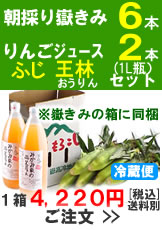 嶽きみ(とうもろこし)６本とりんごジュース(ふじ、王林)２本セット１箱