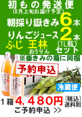 【予約A】嶽きみ(とうもろこし)６本とりんごジュース(ふじ、王林)２本セット１箱