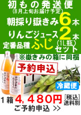 【予約A】嶽きみ(とうもろこし)６本とりんごジュース(ふじ)２本セット１箱