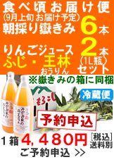【予約B】嶽きみ(とうもろこし)６本とりんごジュース(ふじ、王林)２本セット１箱