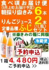 【予約B】嶽きみ(とうもろこし)６本とりんごジュース(ふじ)２本セット１箱