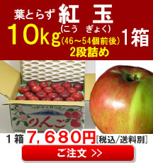 【販売】青森りんご(紅玉)小玉１０Kg