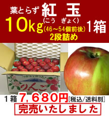 【販売終了】青森りんご(紅玉)小玉１０Kg