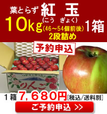 【予約】【品種】青森りんご(紅玉)小玉１０Kg