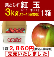 【販売終了】青森りんご(紅玉)小玉３Kg